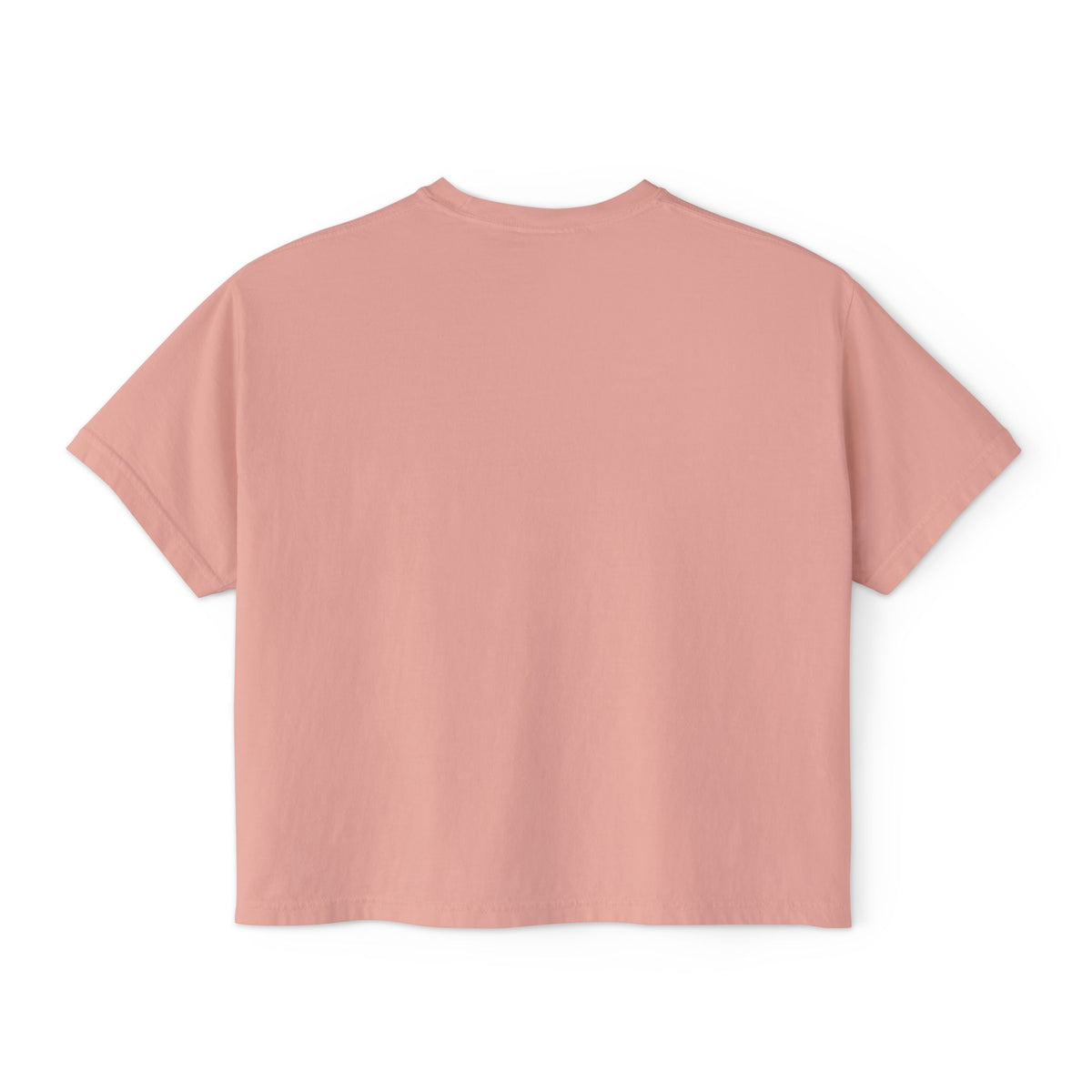 Bleacher Creature T-Shirt | Graphic Retro Arch Text Tee: Comfort Colors
