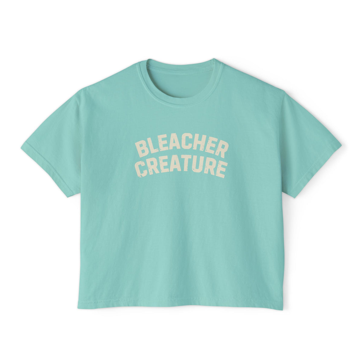 Bleacher Creature T-Shirt | Graphic Retro Arch Text Tee: Comfort Colors
