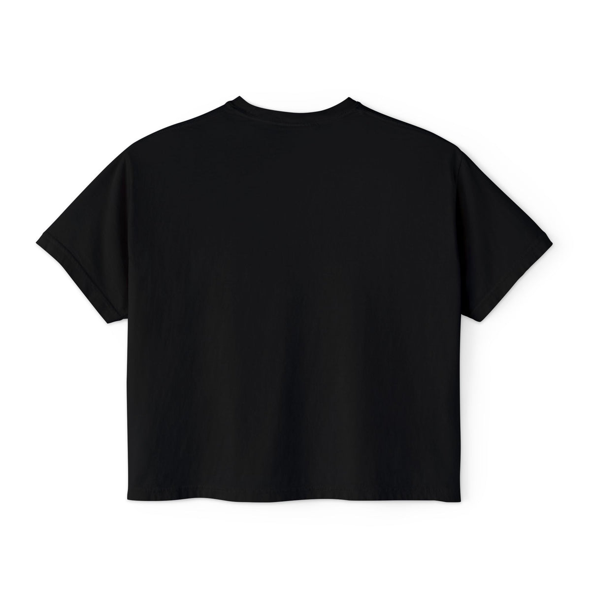 Bleacher Creature T-Shirt | Graphic Retro Arch Text Tee: Comfort Colors