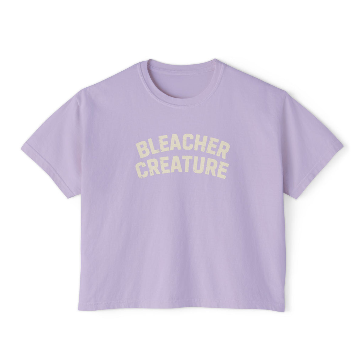 Bleacher Creature T-Shirt | Graphic Retro Arch Text Tee: Comfort Colors