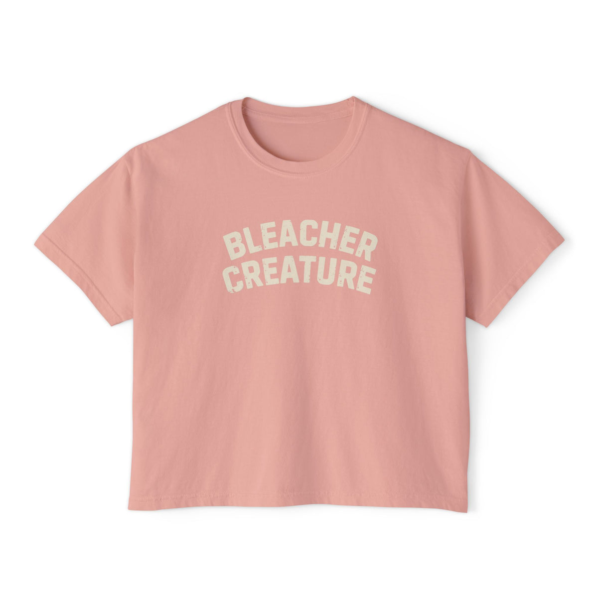 Bleacher Creature T-Shirt | Graphic Retro Arch Text Tee: Comfort Colors