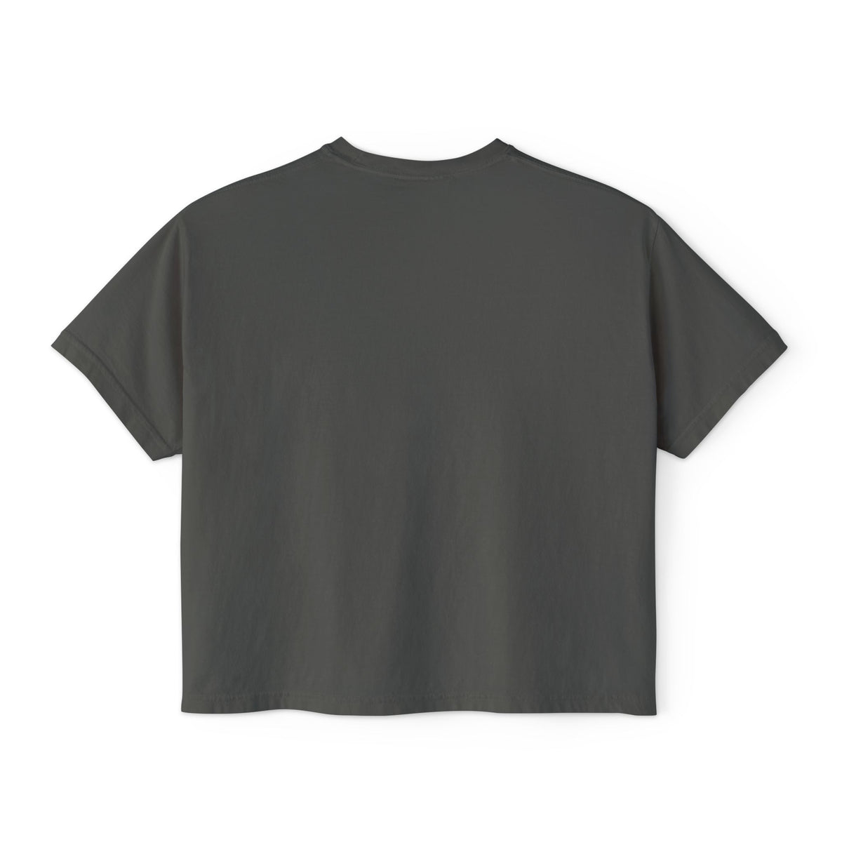 Bleacher Creature T-Shirt | Graphic Retro Arch Text Tee: Comfort Colors