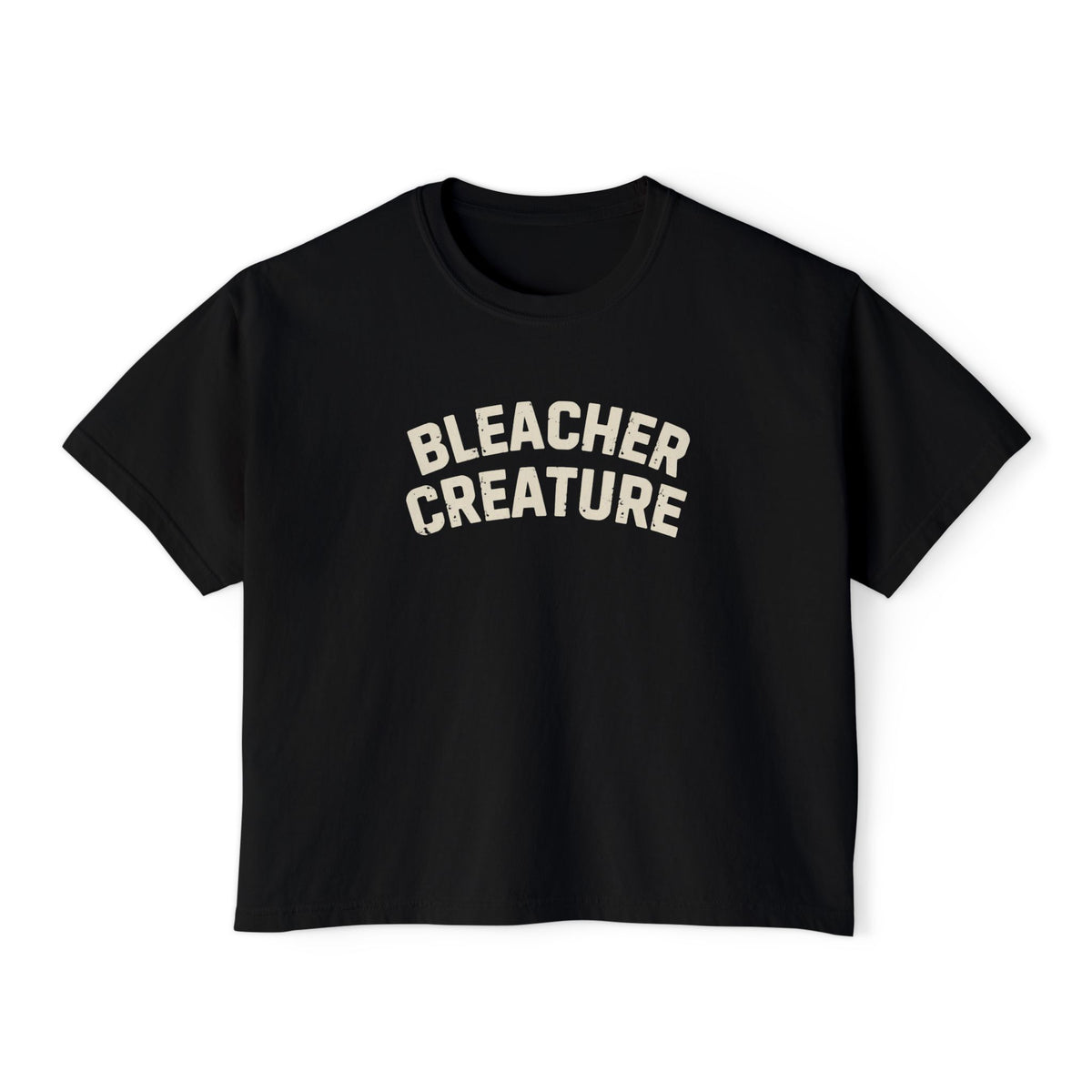 Bleacher Creature T-Shirt | Graphic Retro Arch Text Tee: Comfort Colors