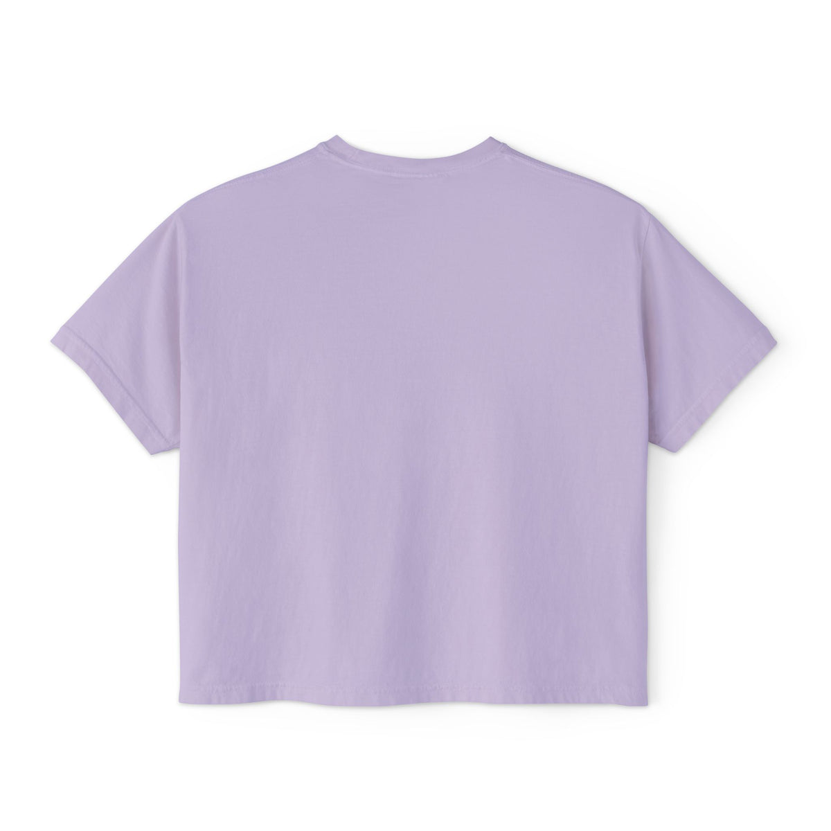 Bleacher Creature T-Shirt | Graphic Retro Arch Text Tee: Comfort Colors