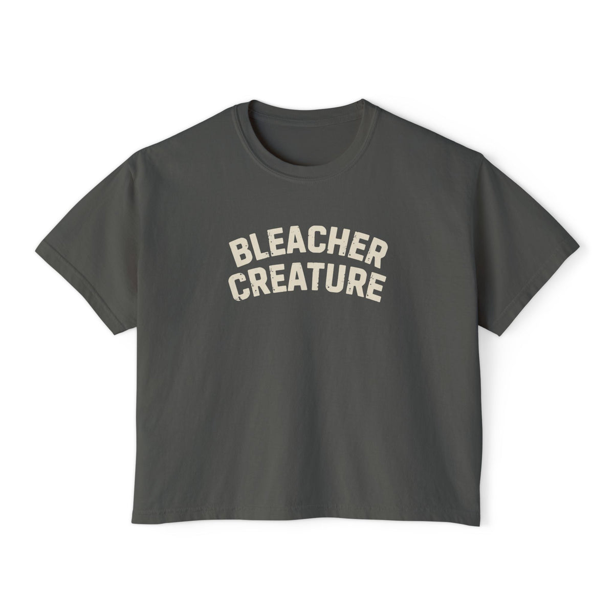 Bleacher Creature T-Shirt | Graphic Retro Arch Text Tee: Comfort Colors