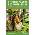 Pitcher Plants Beginner Guide: Easily grow these carnivorous plants on your windowsill, choose the right species, understand their needs, and keep th - Paperback