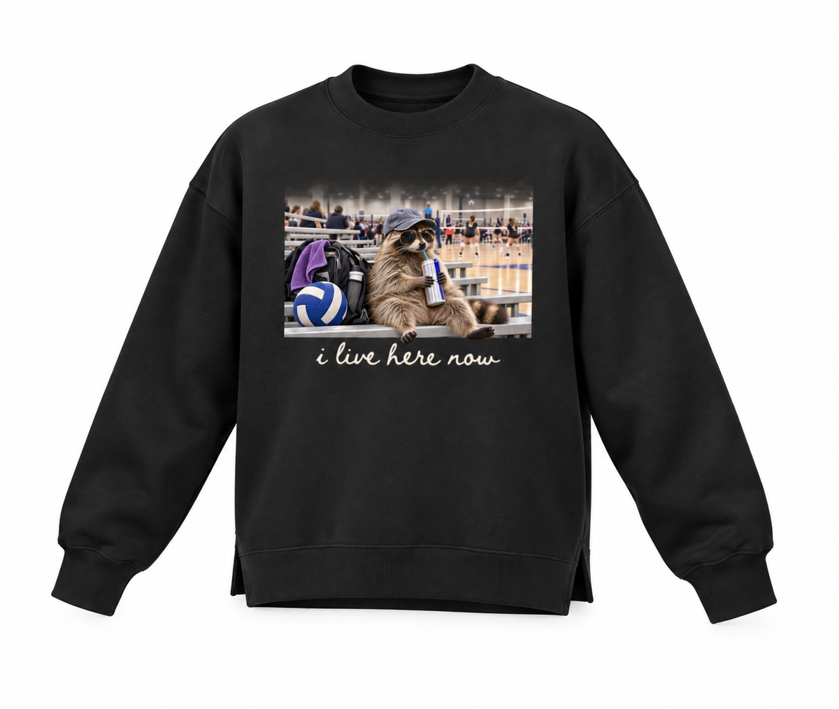 I Live Here Now Fleece Side Slit Crewneck Sweatshirt