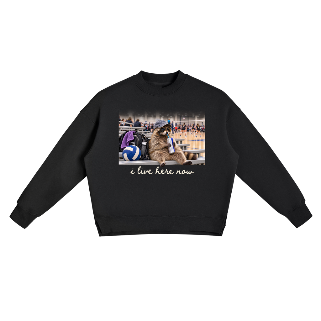 I Live Here Now Fleece Side Slit Crewneck Sweatshirt